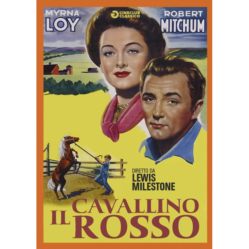 CAVALLINO ROSSO (IL)