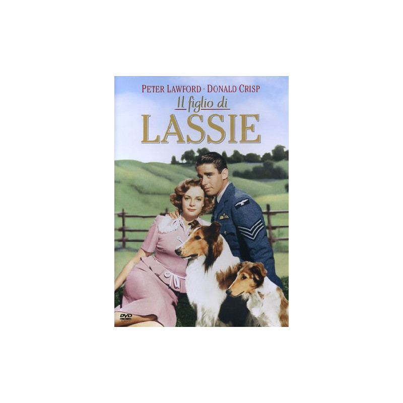 LASSIE - IL FIGLIO DI LASSIE