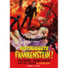 DISTRUGGETE FRANKENSTEIN (RESTAURATO IN HD)