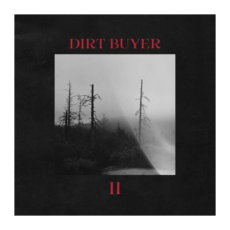 DIRT BUYER II