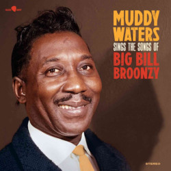 SINGS BIG BILL [LTD.ED. LP]