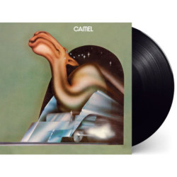 CAMEL