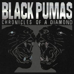 CHRONICLES OF A DIAMOND