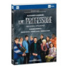 UN PROFESSORE - STAGIONE 2 - DVD (3 DVD)