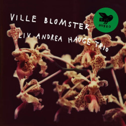 VILLE BLOMSTER