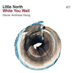 WHILE YOU WAIT [LP]