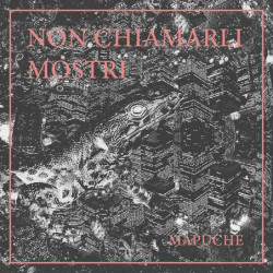 NON CHIAMARLI MOSTRI