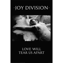 JOY DIVISION (LOVE WILL...
