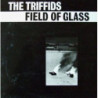 FIELD OF GLASS (EP)