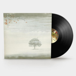 WIND & WUTHERING (LP)