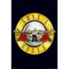 GUNS N' ROSES: (MAXI POSTER 61X91,5CM)