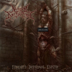 FERMENTED INTESTINAL EGESTA